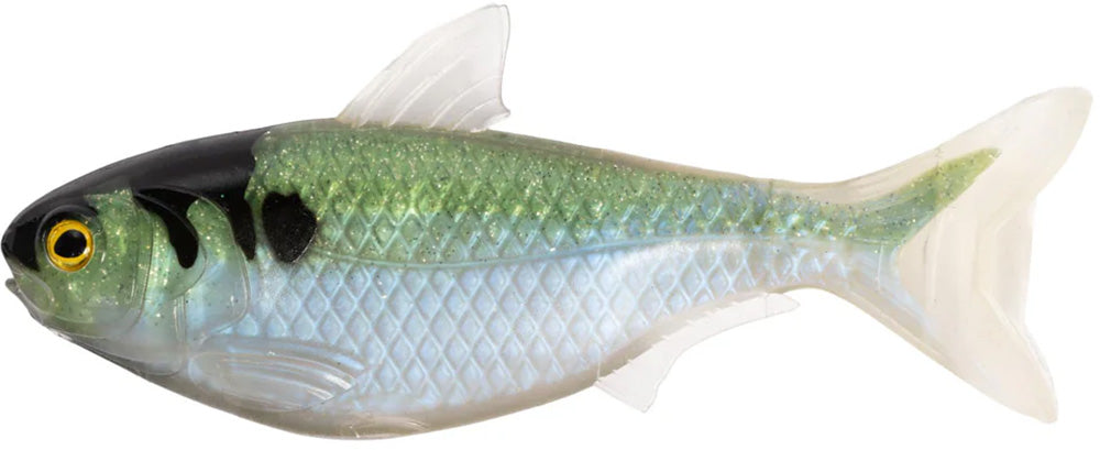 LIVETARGET Unrigged Shad - 5.5 Inch - TACKLE WAREHOUSE AMERICA​
