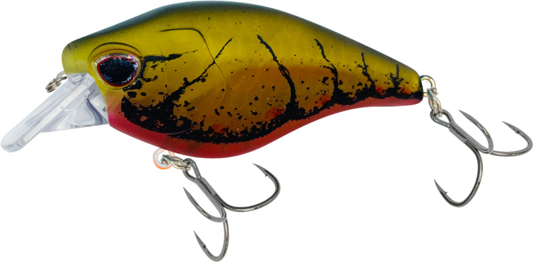 Nomad Design Atlas Squarebill Crankbait - TACKLE WAREHOUSE AMERICA​