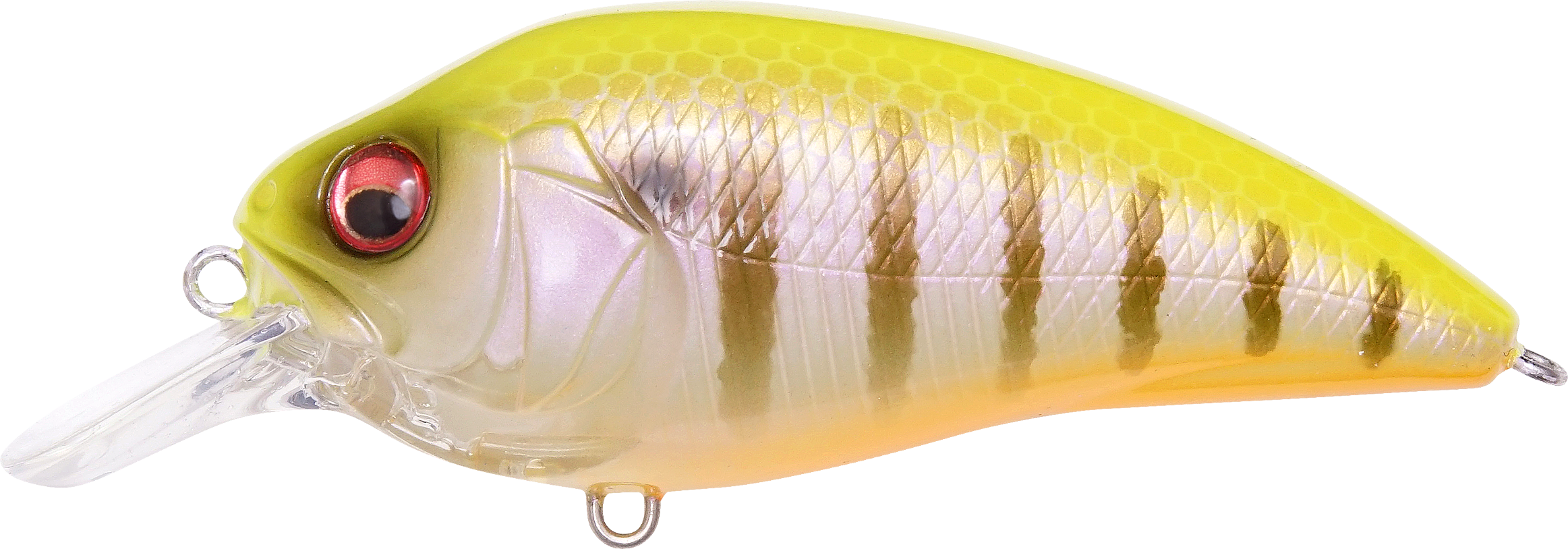 Megabass Super-Z Z-1 Medium Diving Crankbait - TACKLE WAREHOUSE AMERICA​