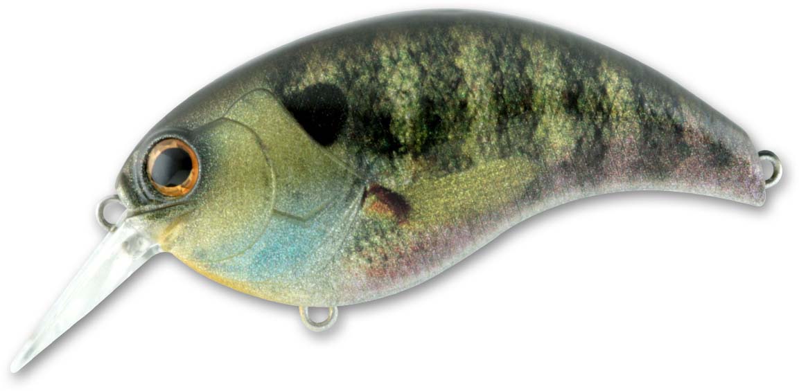 Deps Evoke 3.0 Squarebill Crankbait - TACKLE WAREHOUSE AMERICA​