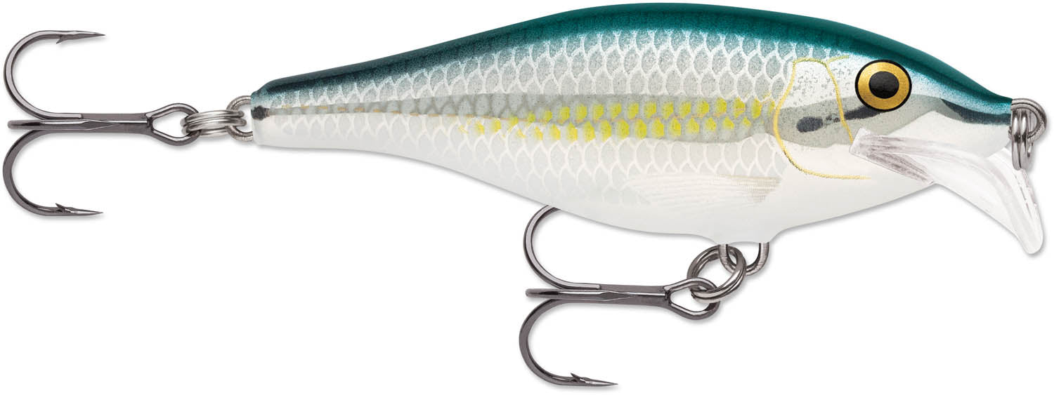 Rapala Scatter Rap Shad 07 Medium Diving Crankbait - TACKLE WAREHOUSE AMERICA​