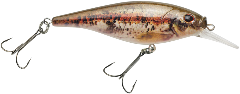 Berkley Flicker Shad Shallow Crankbait - TACKLE WAREHOUSE AMERICA​