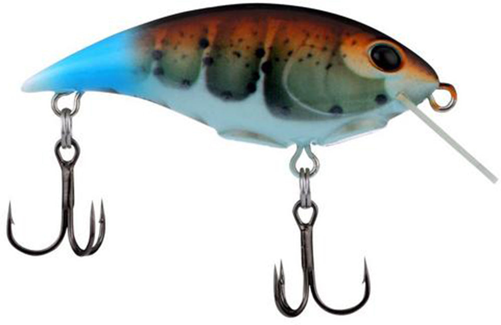 Berkley Shallow Money Badger Crankbait - 2.6 Inch - TACKLE WAREHOUSE AMERICA​