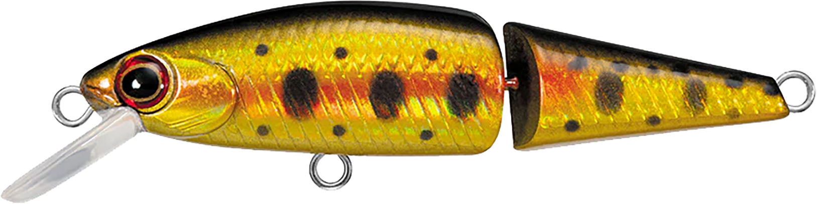 Daiwa DR Minnow Jointed Sinking Jerkbait - 2 Inches - TACKLE WAREHOUSE AMERICA​