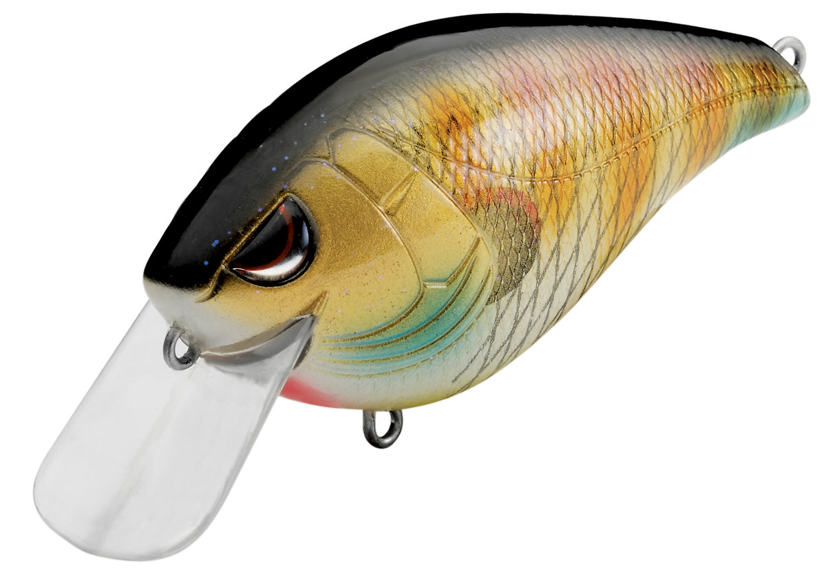SPRO Hunter 65 SB Shallow Squarebill Crankbait - TACKLE WAREHOUSE AMERICA​