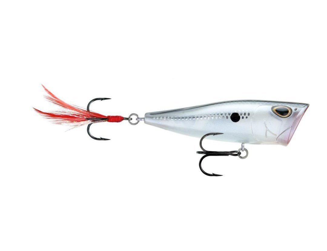 Storm Arashi Cover Pop 3 1/8 inch Topwater Popper - TACKLE WAREHOUSE AMERICA​