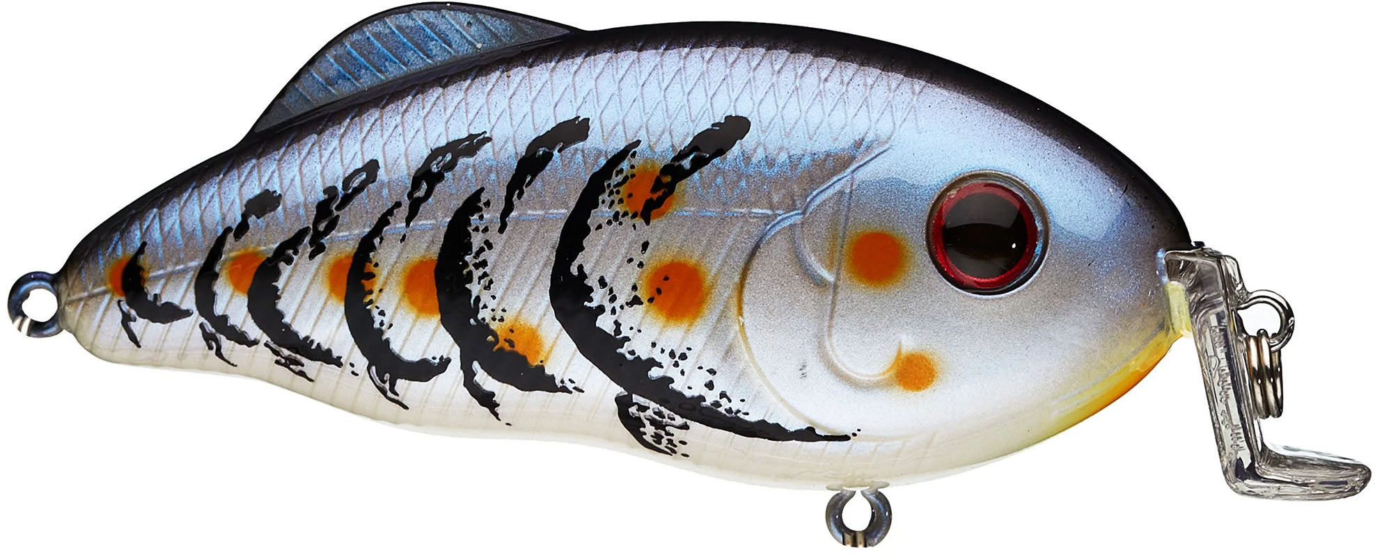 Strike King Hybrid Hunter Jr Shallow Crankbait - TACKLE WAREHOUSE AMERICA​