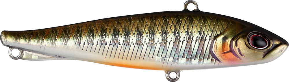 Berkley Ripfish Rip Bait - 3.5 Inch - TACKLE WAREHOUSE AMERICA​