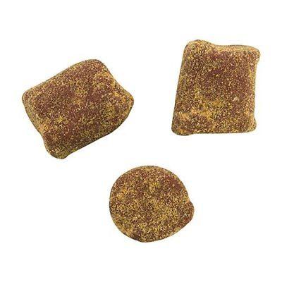 Berkley PowerBait 6 oz. Catfish Bait Chunks - TACKLE WAREHOUSE AMERICA​
