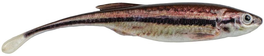 Berkley PowerBait Drip Minnow - 4 Inch - TACKLE WAREHOUSE AMERICA​