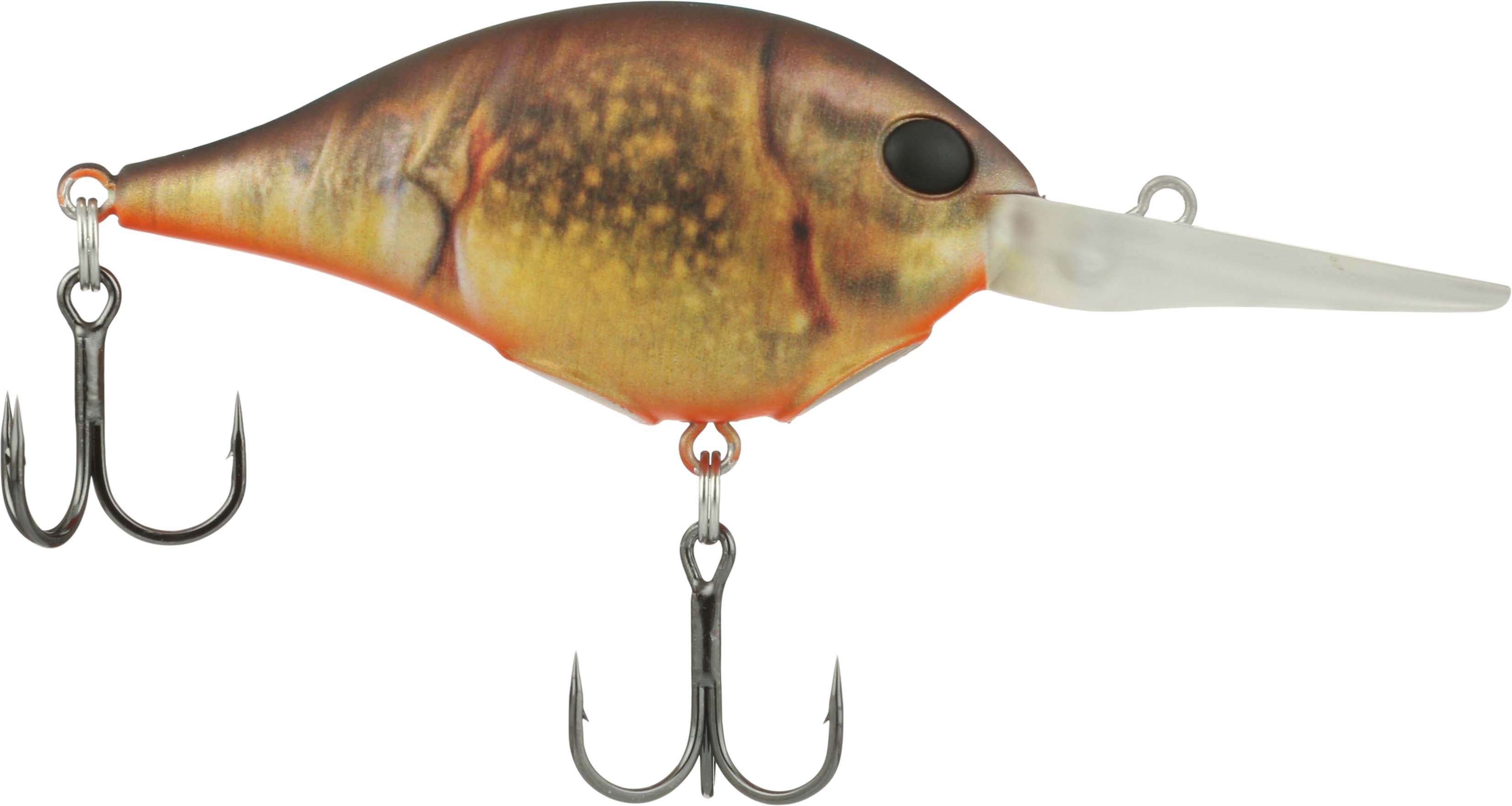Berkley Dime Size 10 Crankbait - TACKLE WAREHOUSE AMERICA​