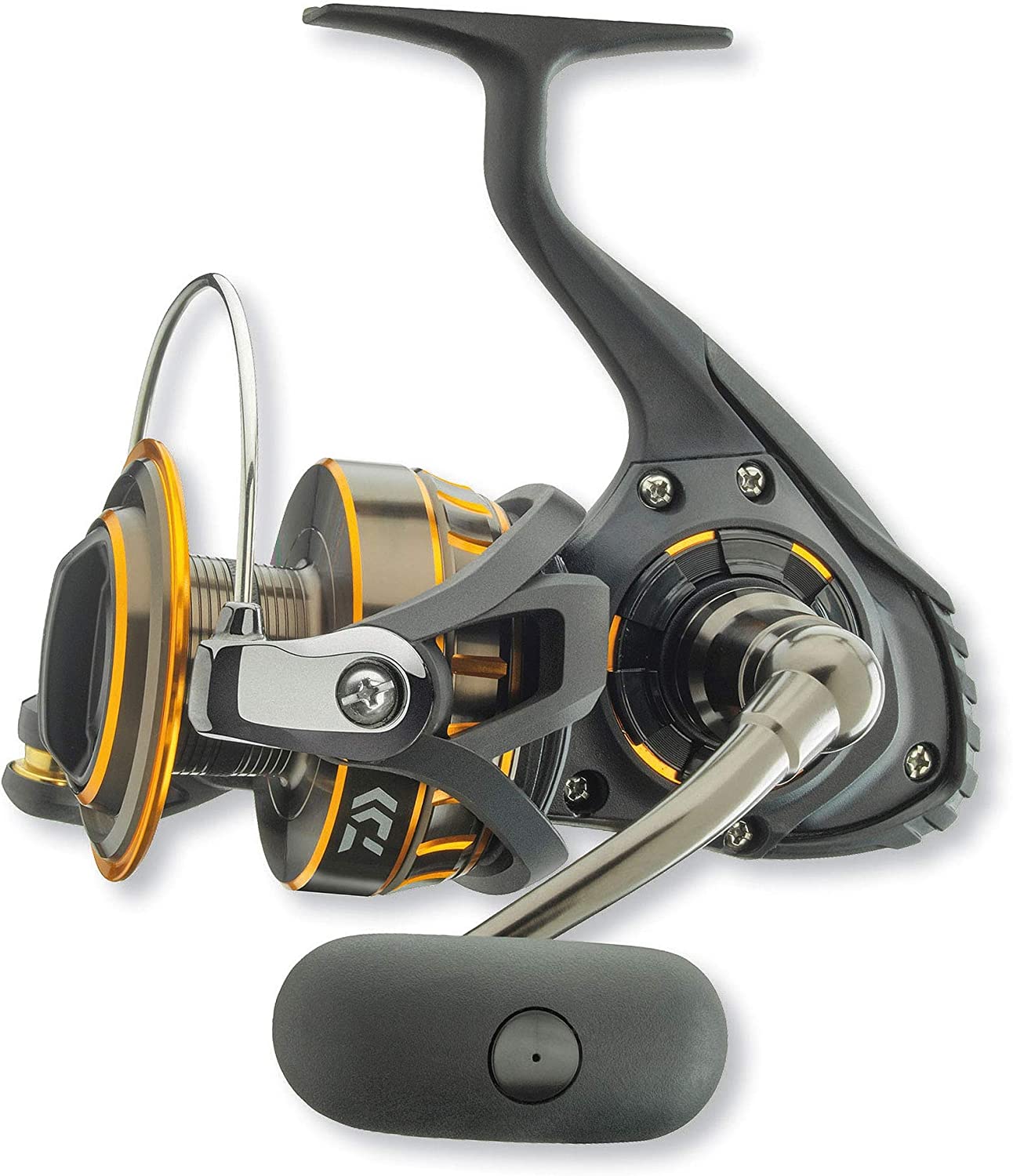 Daiwa BG Spinning Reels - TACKLE WAREHOUSE AMERICA​