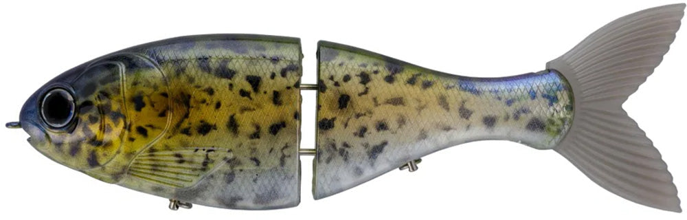 Bucca BFS Trick Shad - 2.5 Inch - TACKLE WAREHOUSE AMERICA​