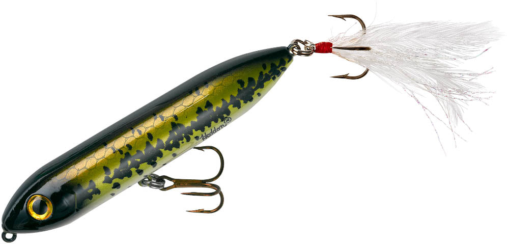 Heddon Super Spook Jr. Feather Dressed 3 1/2 inch Topwater Walker - TACKLE WAREHOUSE AMERICA​