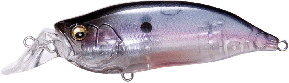 Megabass IXI Shad Type-R Shallow Diving Crankbait - 2.4 Inch - TACKLE WAREHOUSE AMERICA​