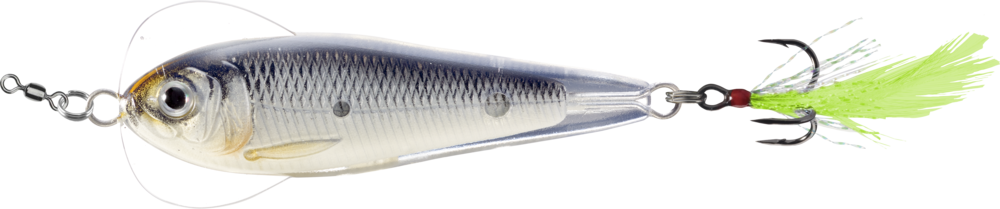 LIVETARGET Flutter Sardine Jigging Spoon - TACKLE WAREHOUSE AMERICA​