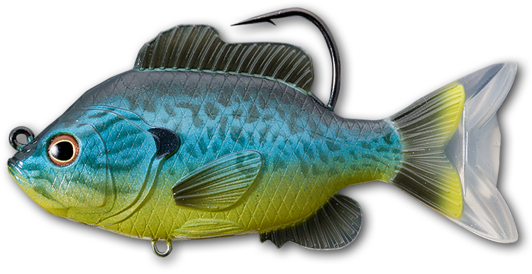 LIVETARGET Sunfish Soft Body Top Hook Swimbait - TACKLE WAREHOUSE AMERICA​