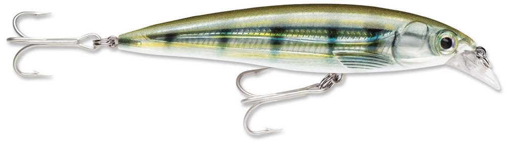 Rapala SXR-10 X-Rap Saltwater Rip Bait - 4 Inch - TACKLE WAREHOUSE AMERICA​