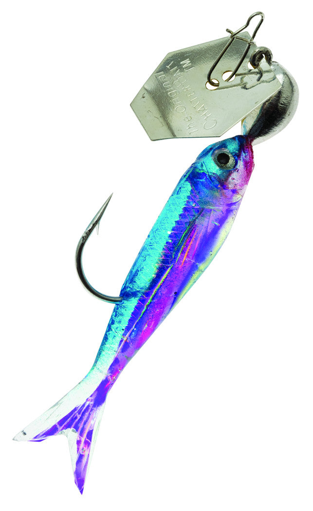 Z-Man ChatterBait FlashBack Mini - TACKLE WAREHOUSE AMERICA​