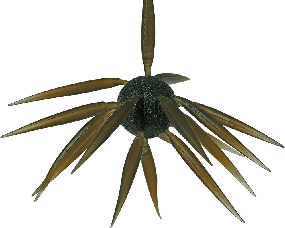 Hideup Coike Fish Large Elastomer - TACKLE WAREHOUSE AMERICA​