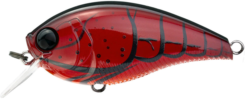 Yo-Zuri 3DB Crank 1.5 Shallow Squarebill Crankbait - TACKLE WAREHOUSE AMERICA​