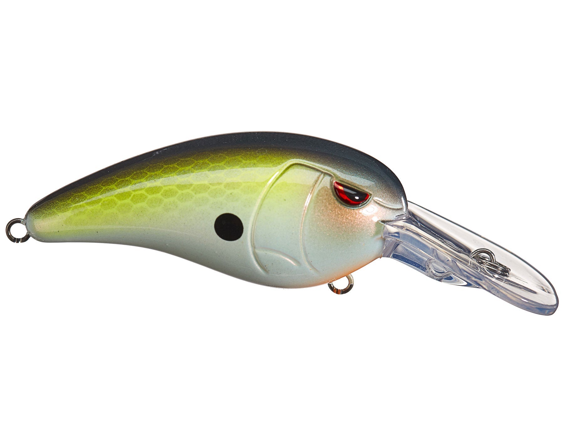 SPRO Mike McClelland RkCrawler MD 55 Medium Diving Crankbait - TACKLE WAREHOUSE AMERICA​
