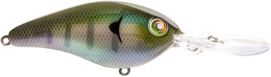 Strike King 8XD Elite Series Crankbait - 5.5 Inch - TACKLE WAREHOUSE AMERICA​