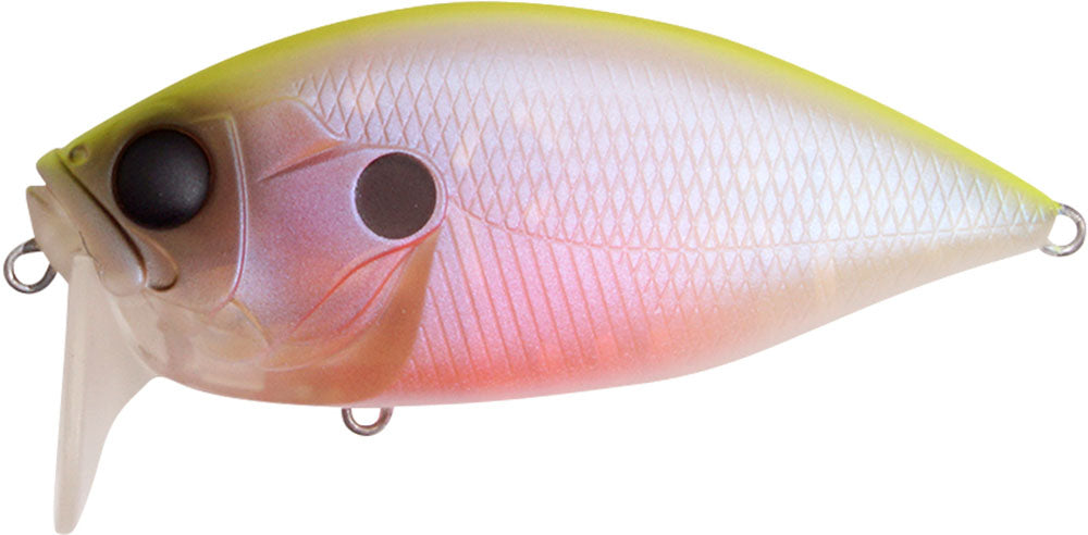 Megabass O.R.C. Over Rev Concept Burning Shad JDM Waking Crankbait - TACKLE WAREHOUSE AMERICA​