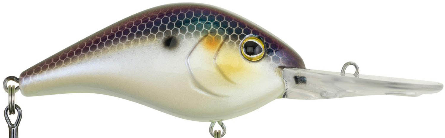 Berkley Dredger Deep Diving Crankbait Deeper Diving Models - TACKLE WAREHOUSE AMERICA​