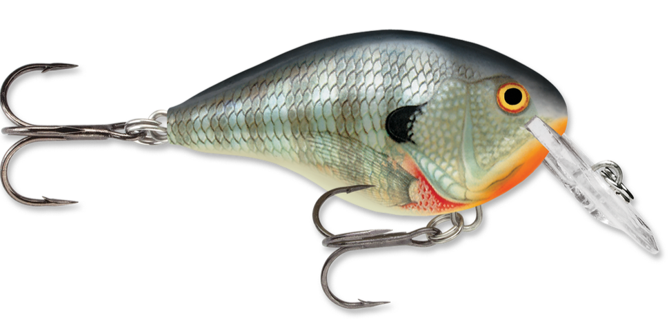Rapala DT Series Crankbait DT4 - TACKLE WAREHOUSE AMERICA​