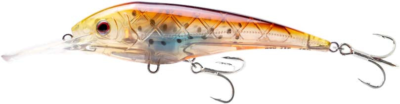 Nomad Design DTX Minnow 145 Shallow Floating - 5.75 Inch - TACKLE WAREHOUSE AMERICA​
