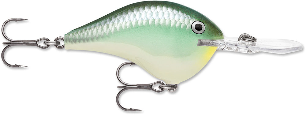 Rapala DT 12 Series Crankbait - 2.25 Inch - TACKLE WAREHOUSE AMERICA​