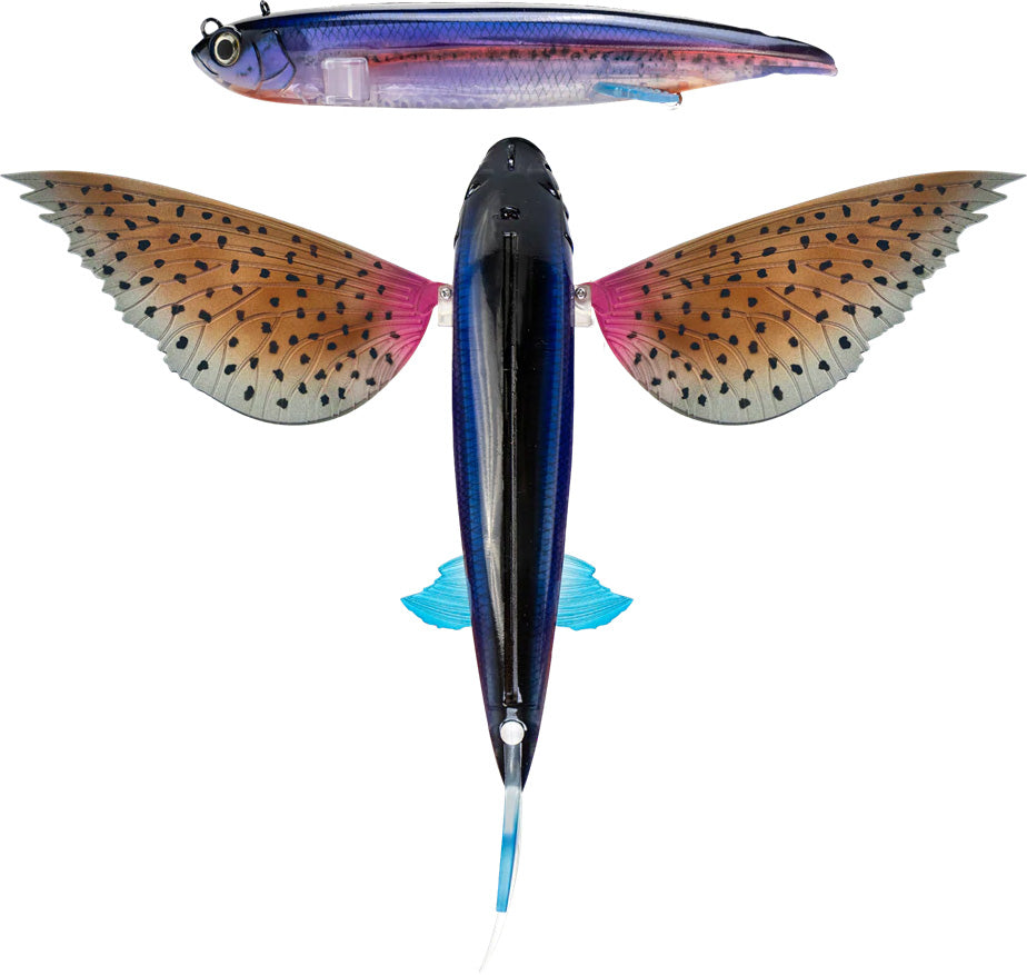 Nomad Design Slipstream 280 California Flying Fish - TACKLE WAREHOUSE AMERICA​