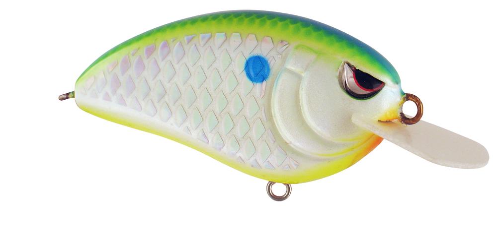 SPRO Little John 50 Type R Shallow Diving Crankbait - TACKLE WAREHOUSE AMERICA​
