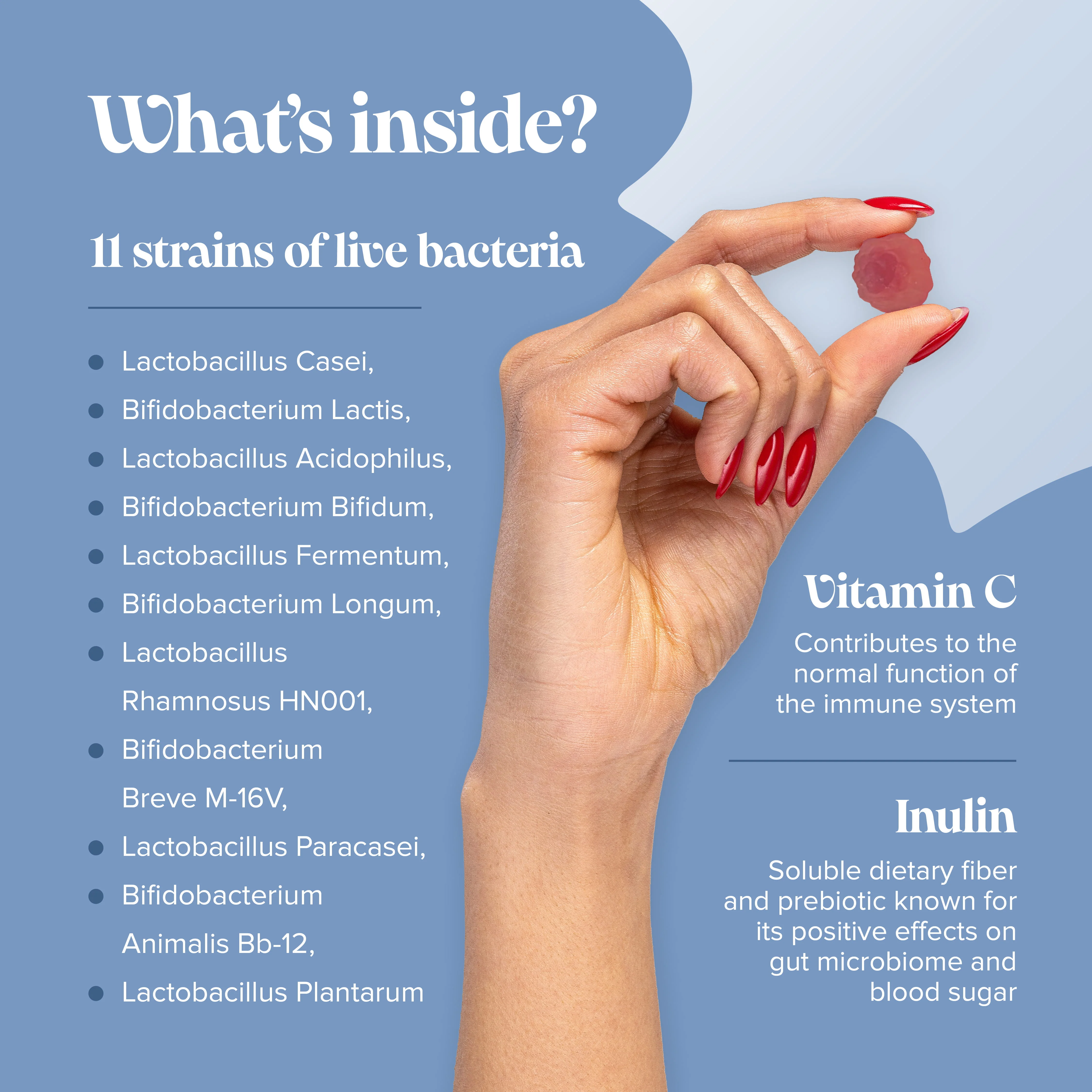Bio-Bac Gummies - DragonVitality