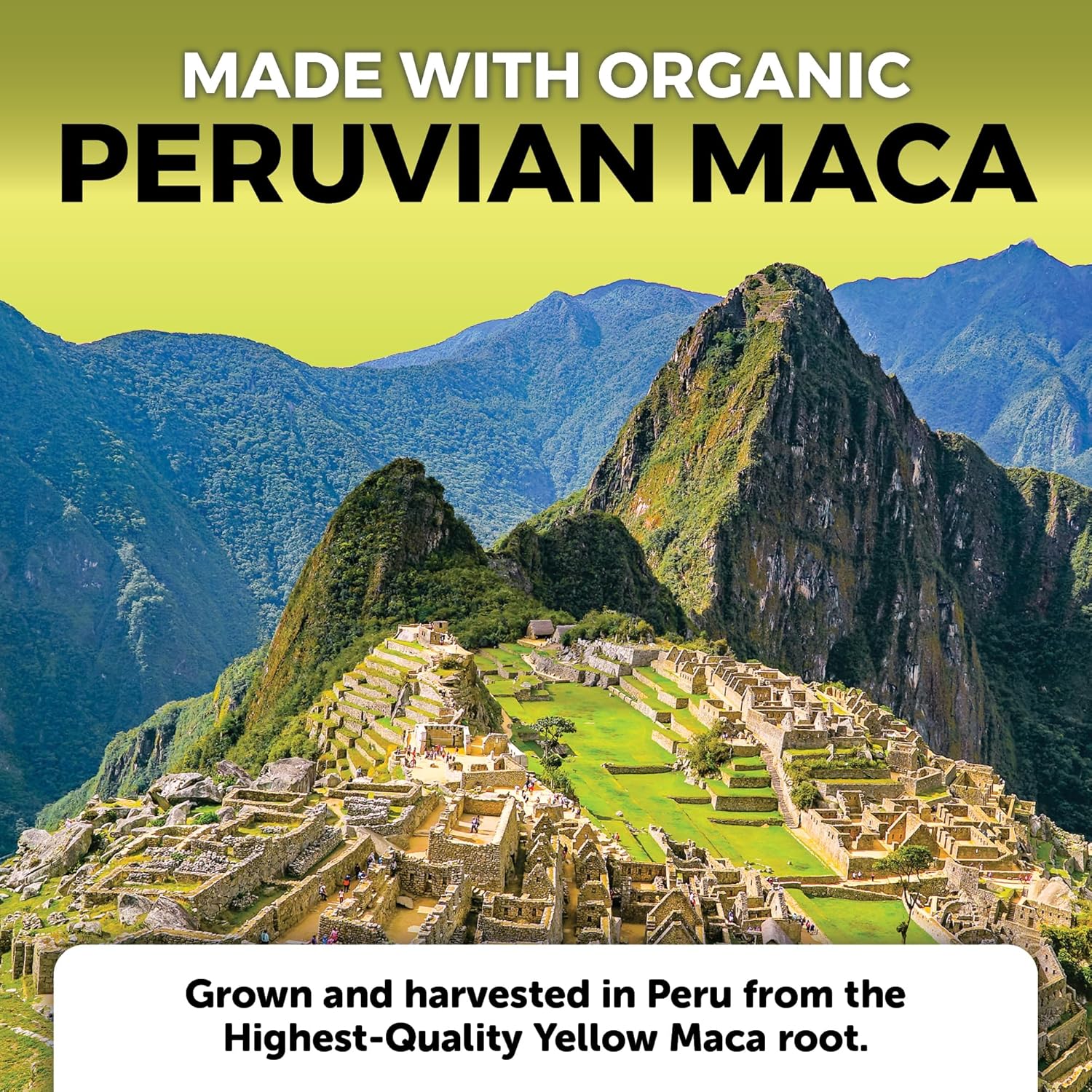 Peruvian Maca Root Supplement for Women & Men, 500mg - Traditionally Used to Support Sexual Well-Being, Stamina & Endurance - 250 Yellow Maca Root Powder Capsules - DragonVitality