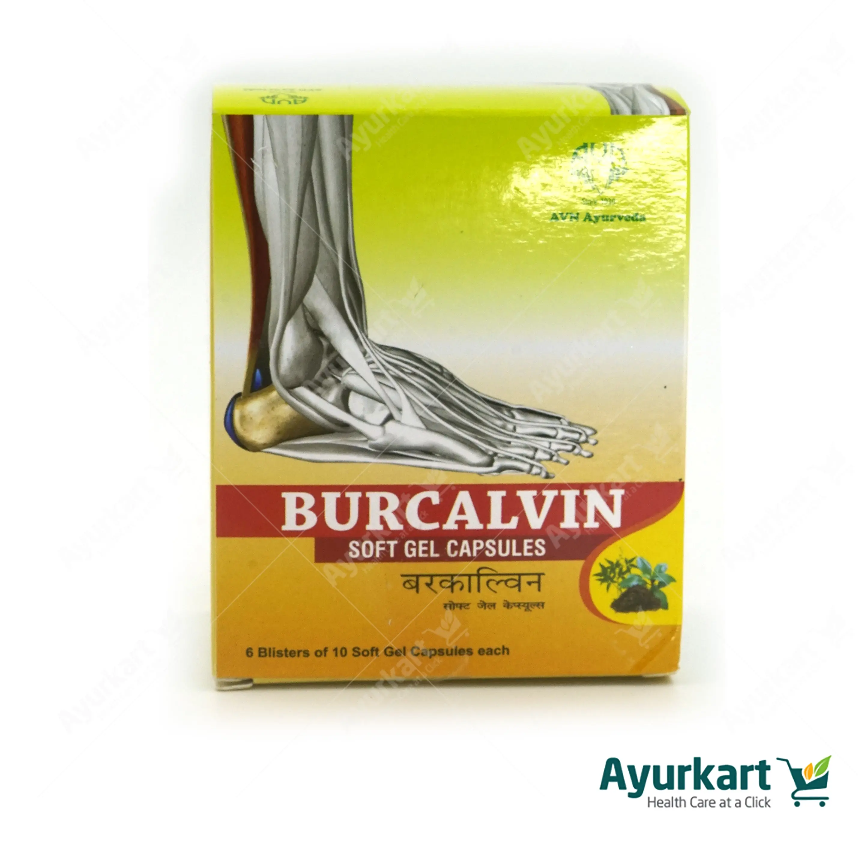 Burcalvin Soft Gel Capsules - 60 Nos. - AVN Arogya
