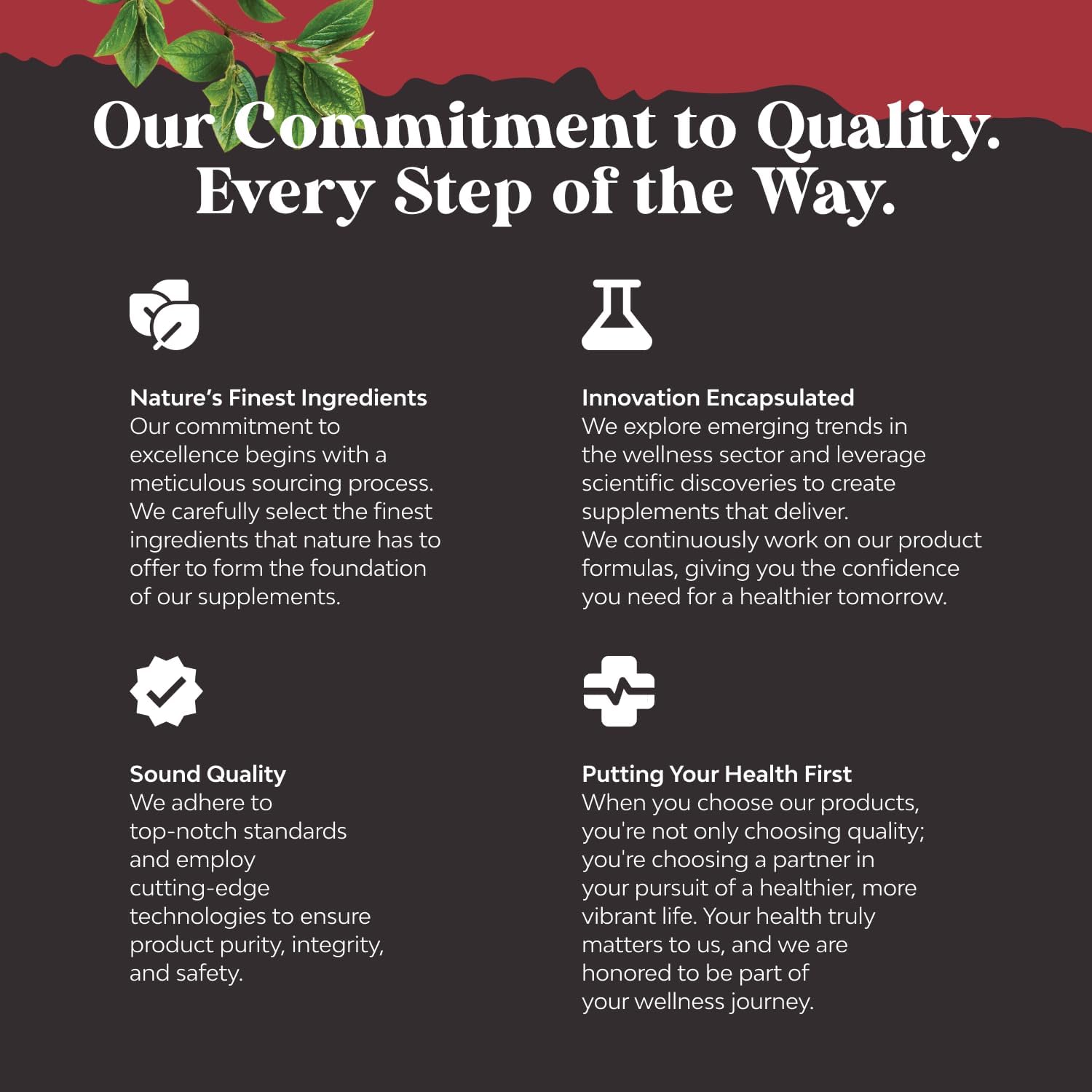 Natures Craft Horny Goat Weed for Men - Extra Strength Male Supplement with Black Maca Root, Tongkat Ali, Saw Palmetto & Panax Ginseng Extract for Stamina & Energy - 90 Capsules - DragonVitality