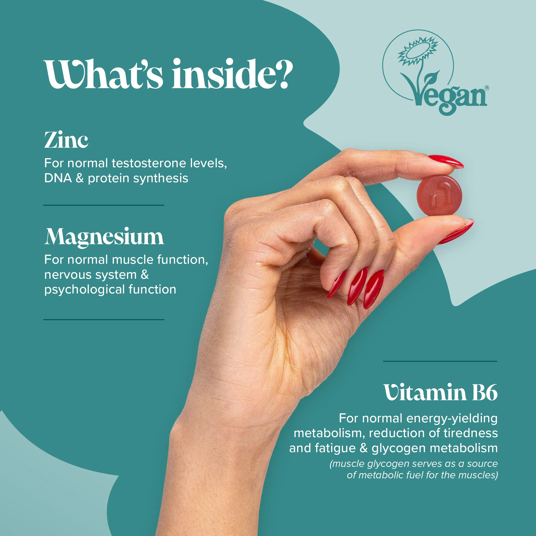 Zinc, Magnesium & B6 - DragonVitality