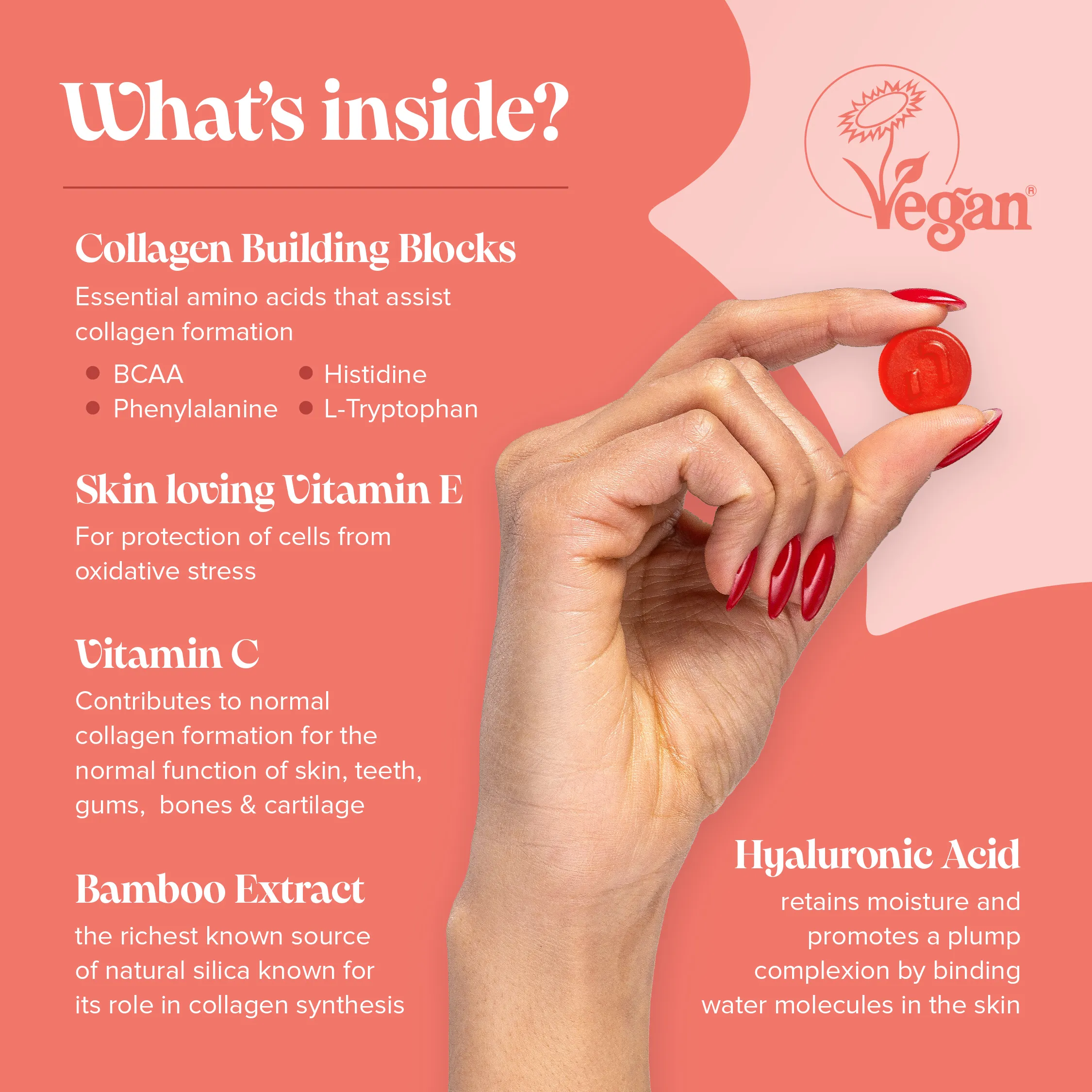 Vegan Collagen Gummies - DragonVitality