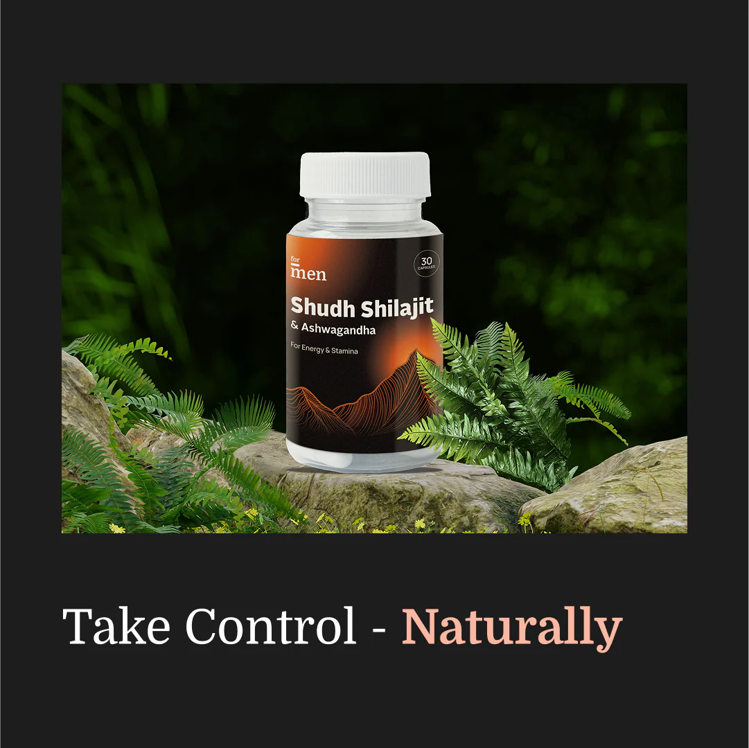 Shudh Himalayan Shilajit & Ashwagandha – Vitality, Mood & Performance Capsules for Men - DragonVitality