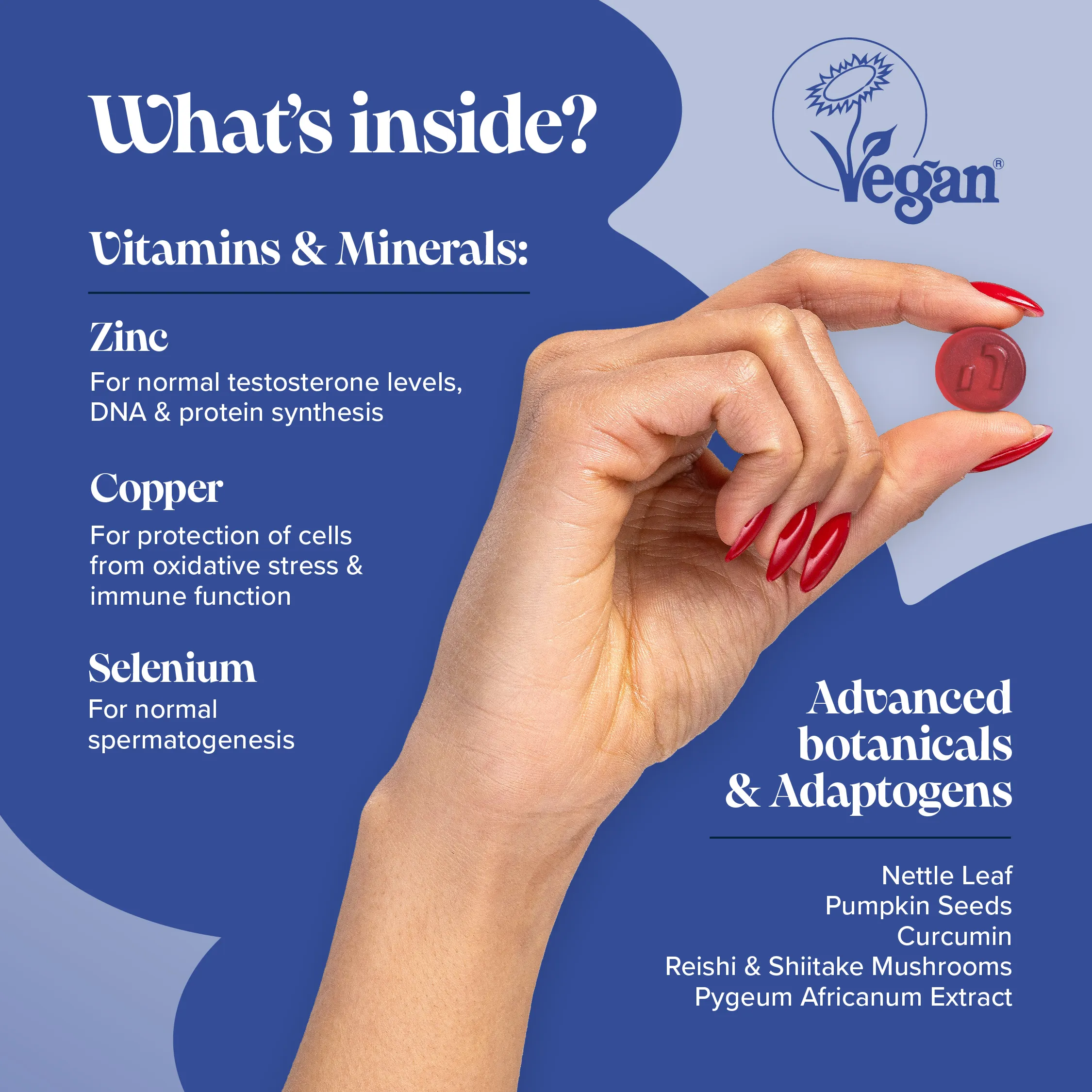 Prostate Gummies - DragonVitality