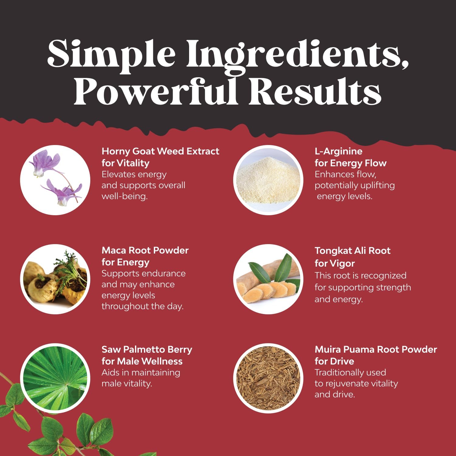 Natures Craft Horny Goat Weed for Men - Extra Strength Male Supplement with Black Maca Root, Tongkat Ali, Saw Palmetto & Panax Ginseng Extract for Stamina & Energy - 90 Capsules - DragonVitality