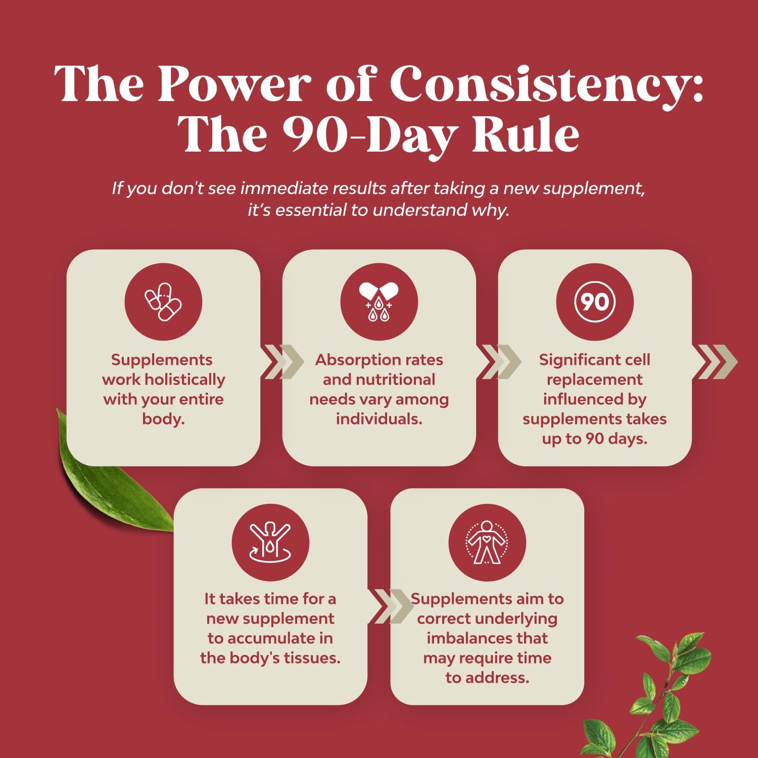 Natures Craft Horny Goat Weed for Men - Extra Strength Male Supplement with Black Maca Root, Tongkat Ali, Saw Palmetto & Panax Ginseng Extract for Stamina & Energy - 90 Capsules - DragonVitality