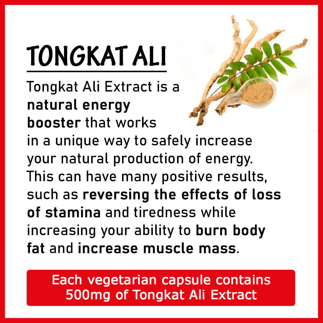 Tongkat Ali 500mg 30's - DragonVitality