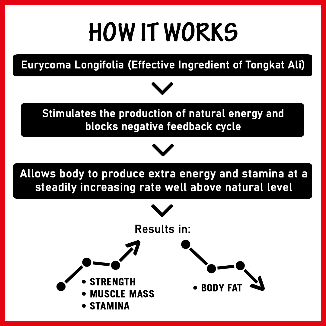 Tongkat Ali 500mg 30's - DragonVitality