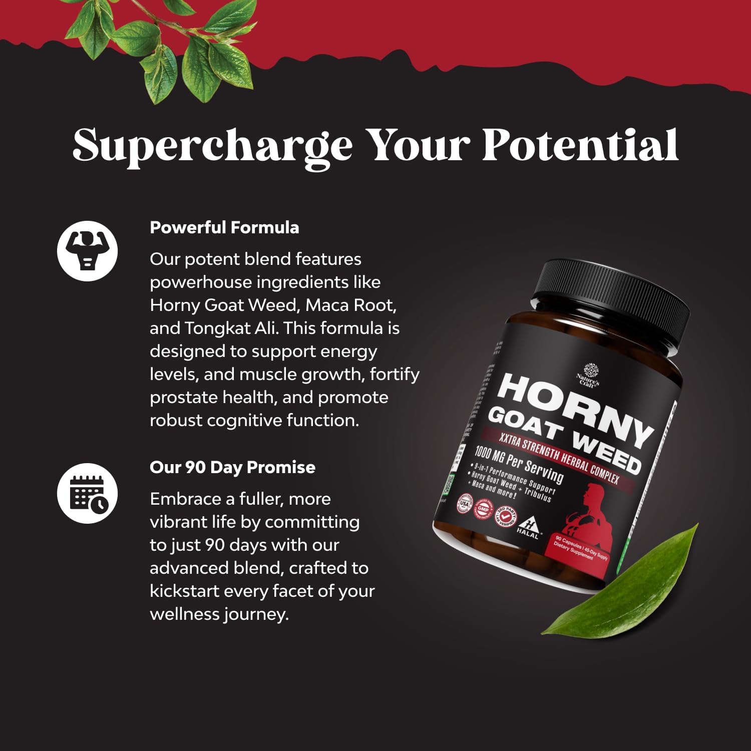 Natures Craft Horny Goat Weed for Men - Extra Strength Male Supplement with Black Maca Root, Tongkat Ali, Saw Palmetto & Panax Ginseng Extract for Stamina & Energy - 90 Capsules - DragonVitality