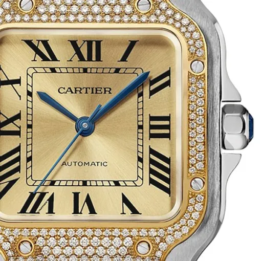 Cartier Santos de Cartier Women Automatic Gold Watch W3SA0007