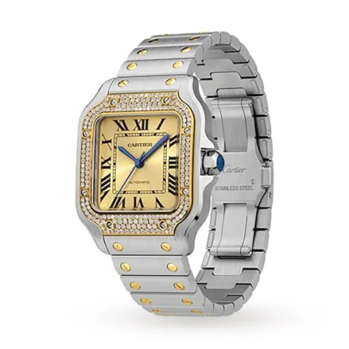 Cartier Santos de Cartier Women Automatic Gold Watch W3SA0007
