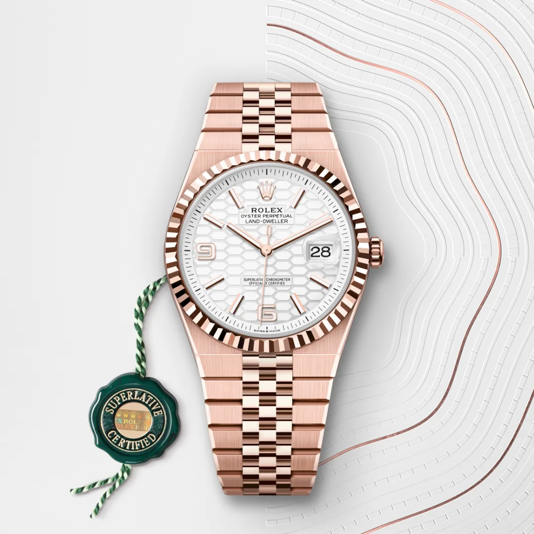 Rolex Land-Dweller 36 Intense White